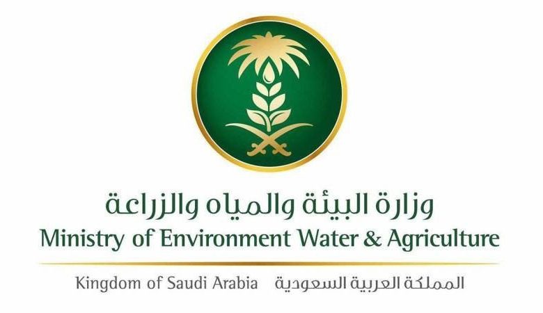 Photo of بدء نفاذ «نظام المياه» وتطبيق أحكامه في المملكة
