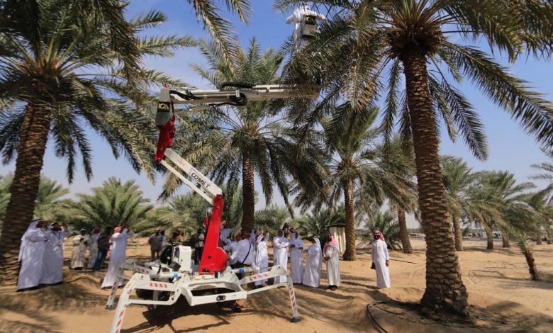 Photo of بلدية القطيف لملّاك المزارع: حدثوا معلوماتكم وأفصحوا عن أنشطتكم