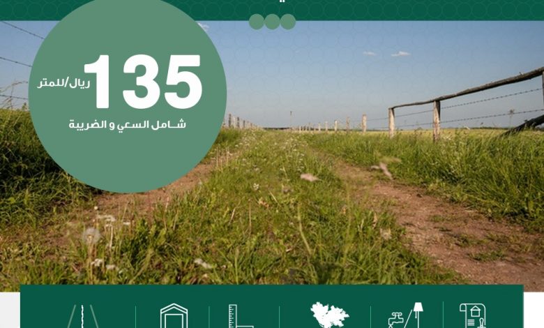 Photo of مخطط الريحانة الزراعي .. أبو معن