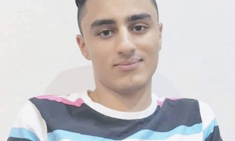 Photo of كأنك تدخل في غابة الذئاب