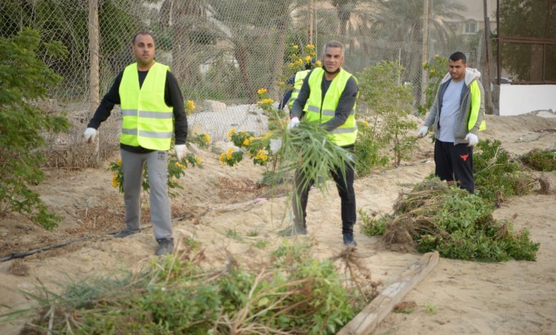 Photo of بالصور تغطية مبادرة تشجير نادي الأزهر ومقر لجنة التنمية بحلة محيش