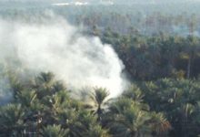 Photo of شكاوى من الأهالي من دخان حرق المخلفات الزراعية