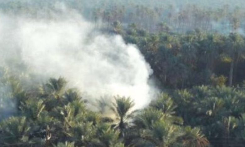 Photo of شكاوى من الأهالي من دخان حرق المخلفات الزراعية