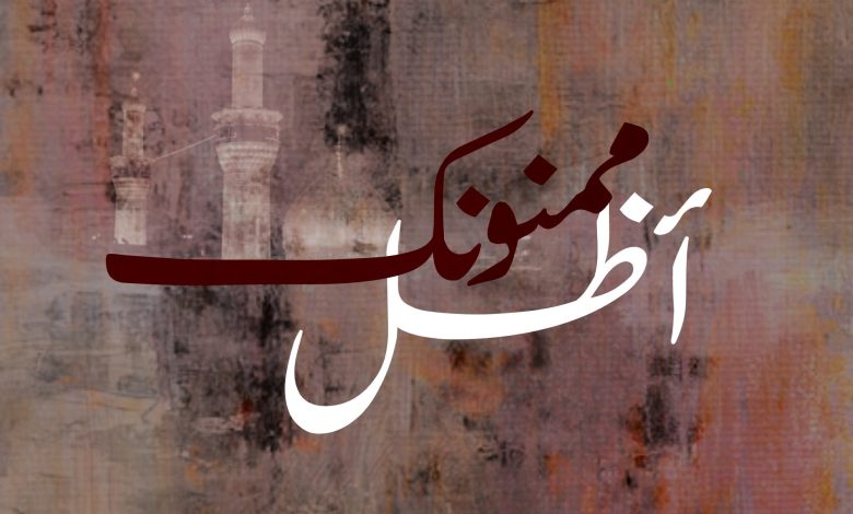 Photo of تغطية المجالس العاشورائية – ليلة 5