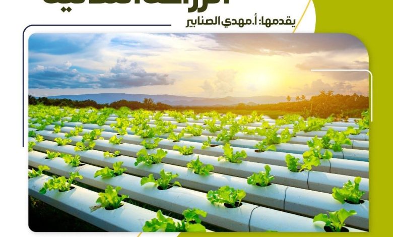 Photo of الليلة .. الزراعة المائية برنامج تدريبي مجاني